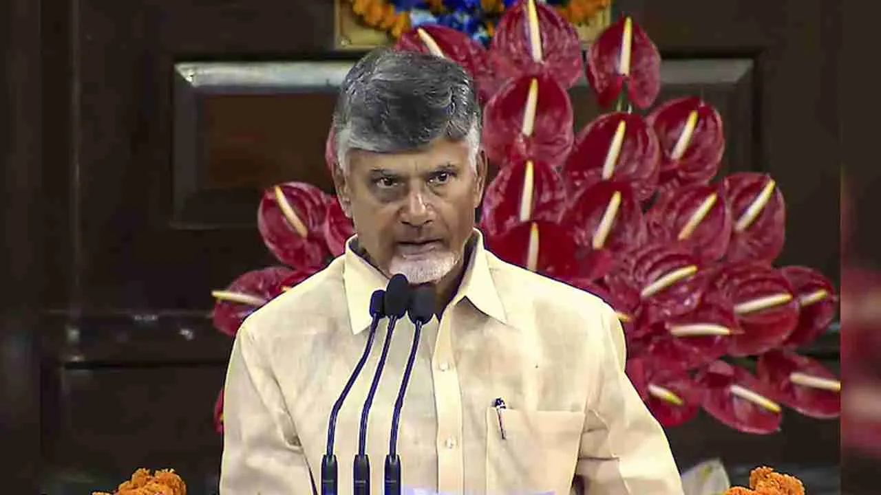 CM Chandrababu: గన్నవరం టీడీపీ మహిళా నేత రమ్యకృష్ణ మృతి బాధాకరం