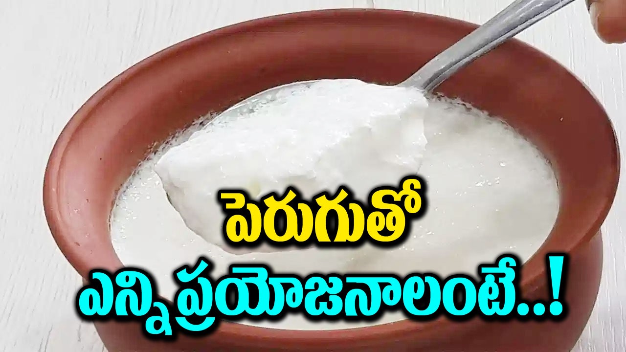 Health Benefits : పెరుగును ఆహారంలో తీసుకోవడం వల్ల ఎన్ని ప్రయోజనాలో తెలుసా.. గుండెకు కూడా మంచి బలమట..