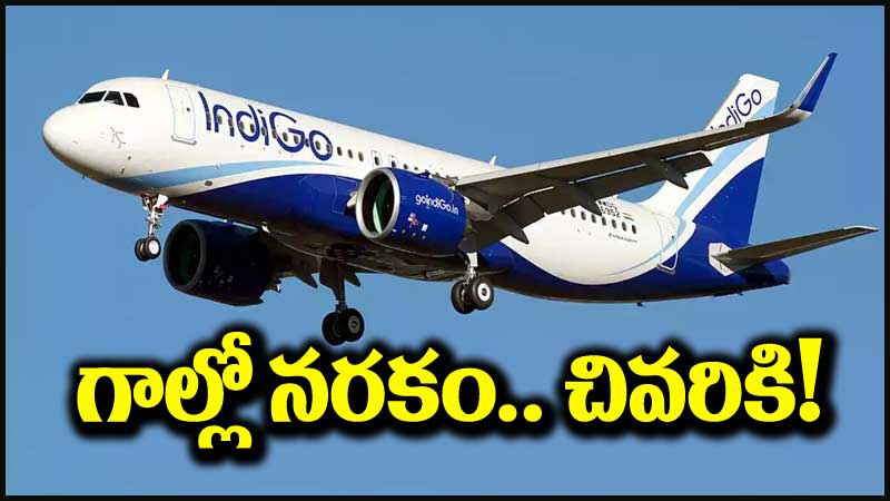 IndiGo Airlines: ఆకాశంలో కుదుపులు.. 30 నిమిషాల నరకం.. చివరికి?
