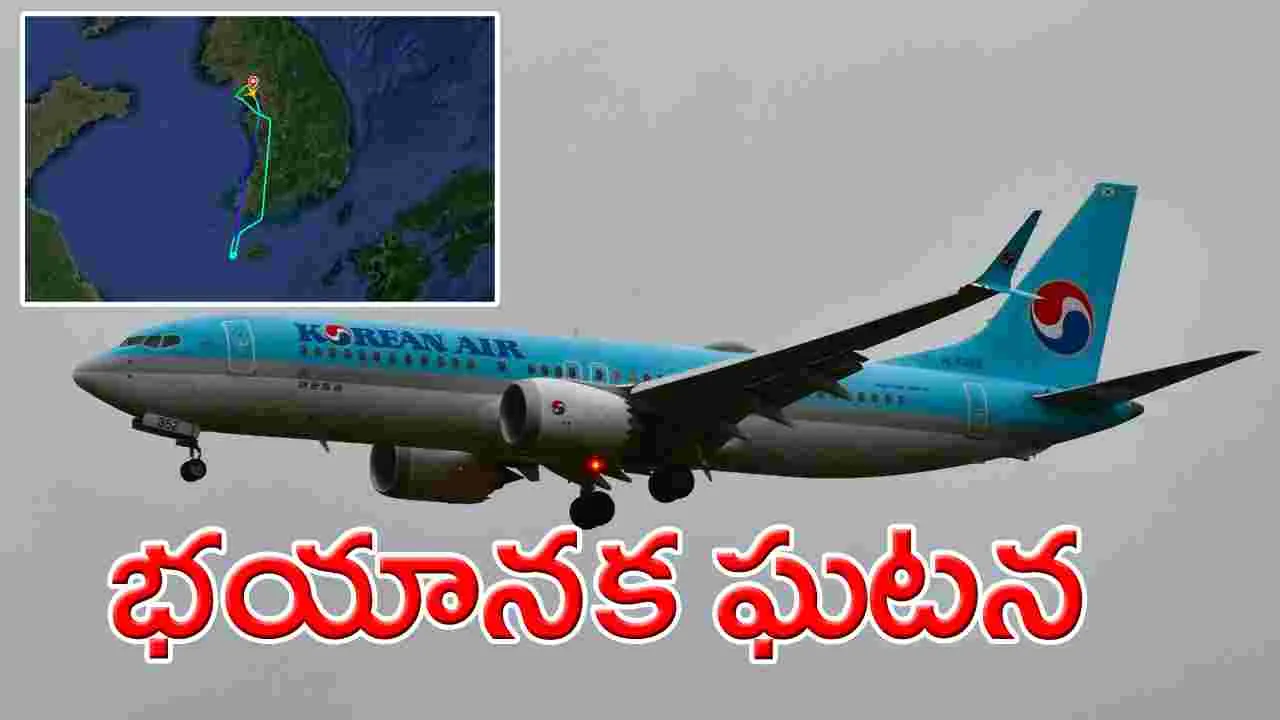 Korean flight: విమానంలో ఊహించని పరిణామం.. ప్రయాణీకుల ముక్కులు, చెవుల నుంచి కారిన రక్తం