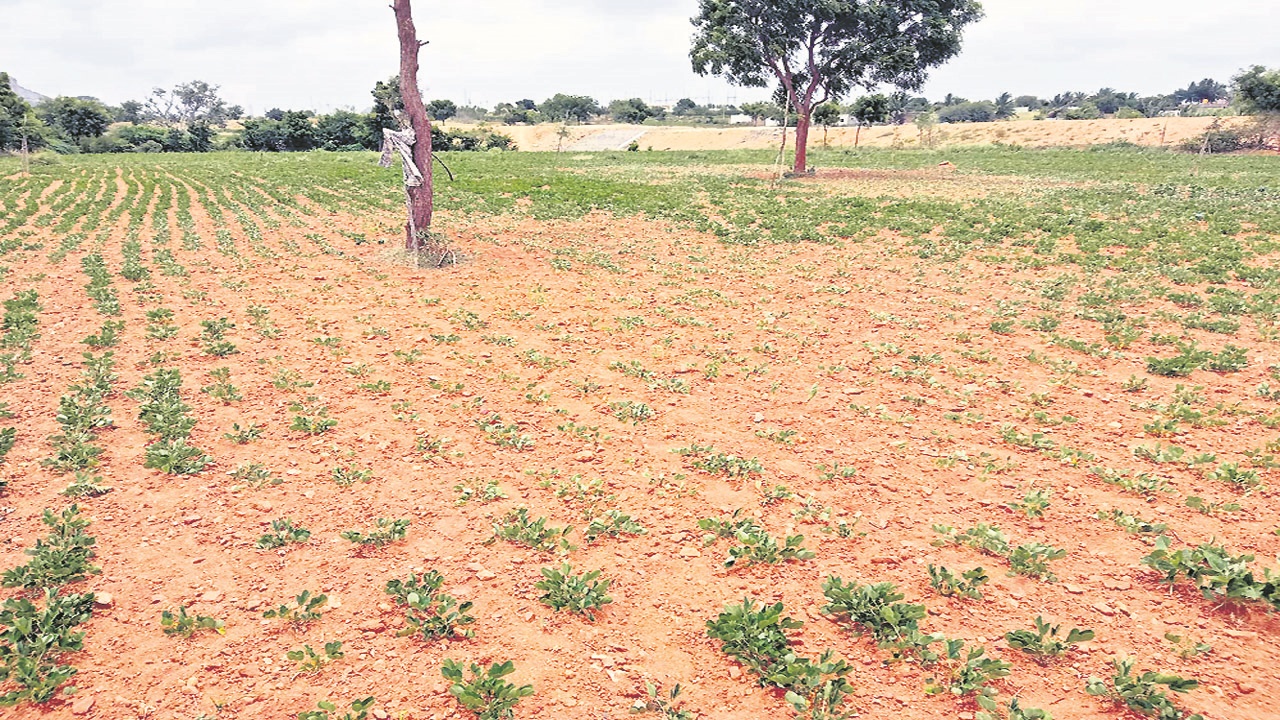 FARMERS: ఐదేళ్లు.. అన్యాయమైపోయాం..