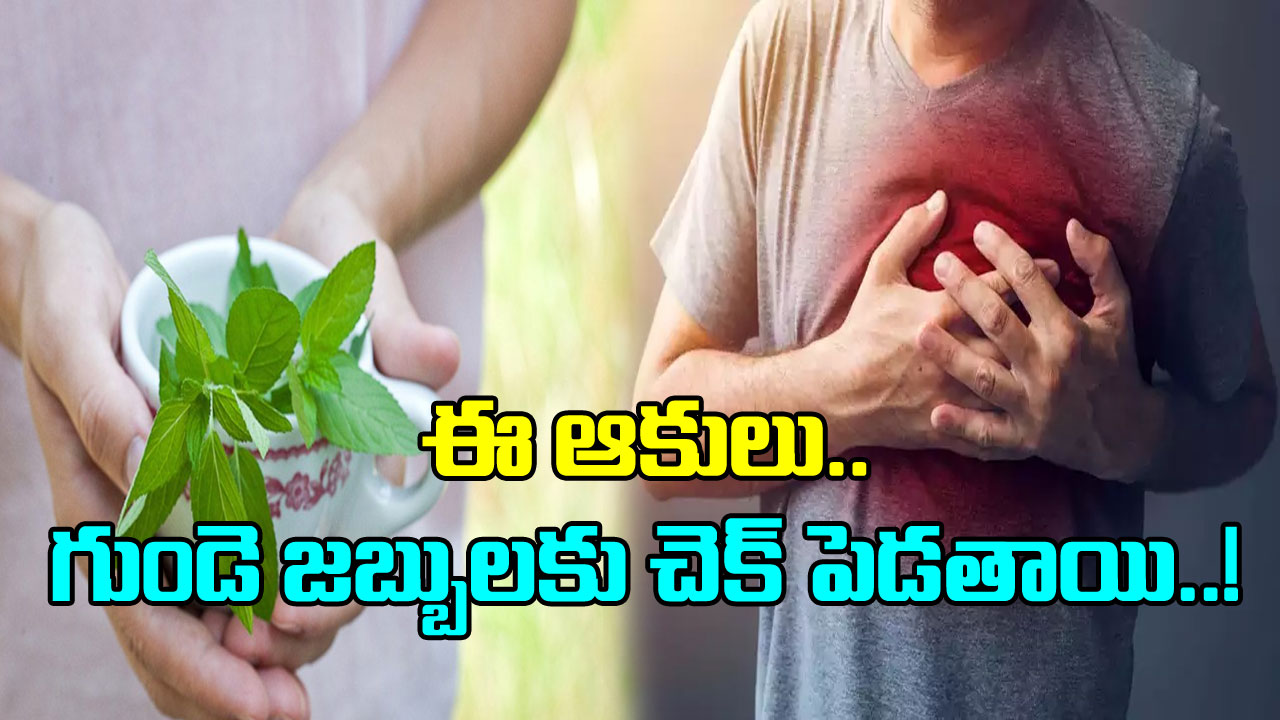 Heart Health: ఈ మూలికలు తినండి చాలు..  గుండె జబ్బులు రానే రావు..!