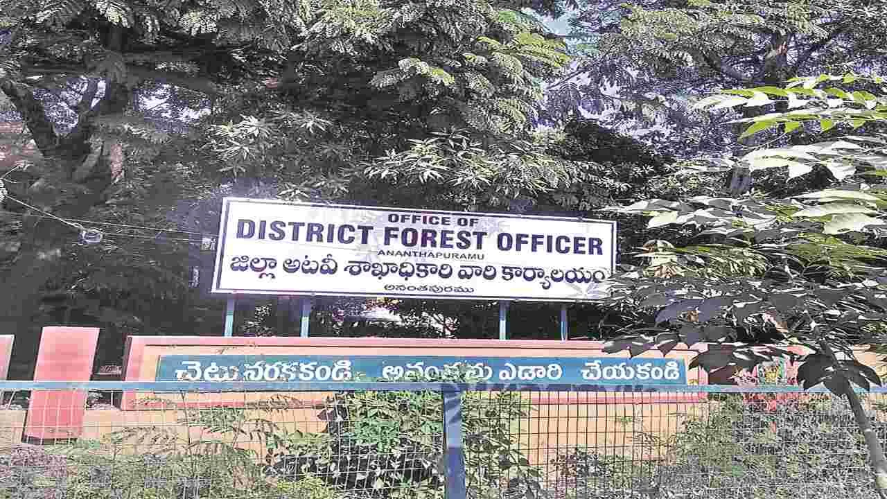 FOREST DEPT : పదేళ్ల పనిమంతుడు..!