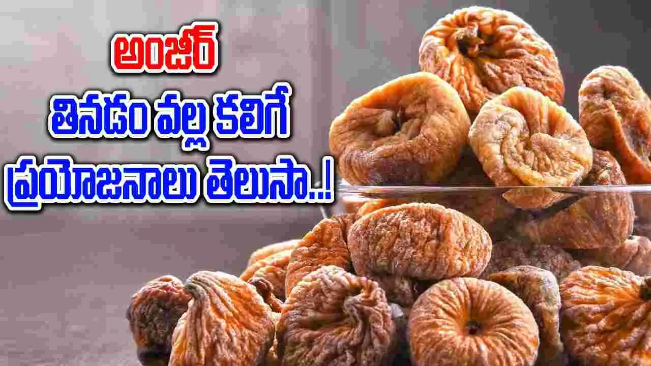 Health Benefits : అంజీర్ ఎప్పుడు తినాలి. దీనితో కలిగే ఆరోగ్య ప్రయోజనాలు ఏంటి..!