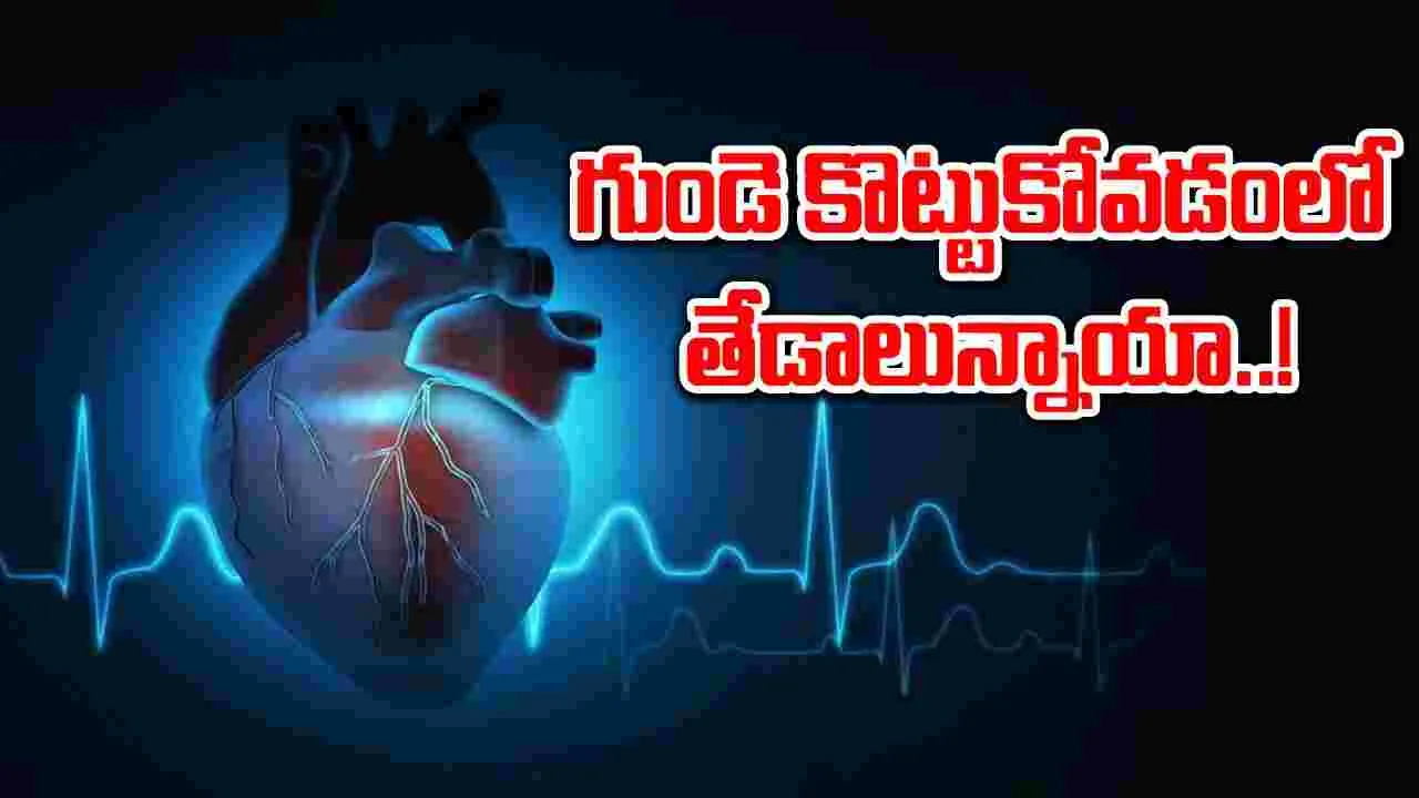 Heart Beat : గుండె కొట్టుకోవడంలో తేడాలు.. దీనికి కారణాలు, లక్షణాలు ఇవే.. !