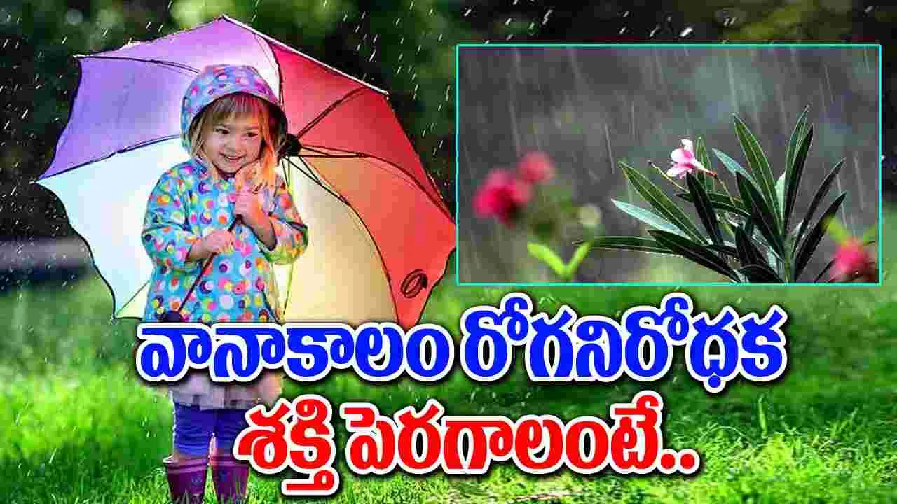 Monsoons Tips : వర్షాకాలంలో ఈ ఔషధాలను తీసుకోవాల్సిందే.. వీటితో..!