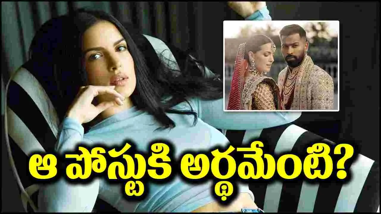 Natasa Stankovic: హార్దిక్‌తో విడాకుల వార్తలు.. నటాషా ఆసక్తికరమైన వీడియో