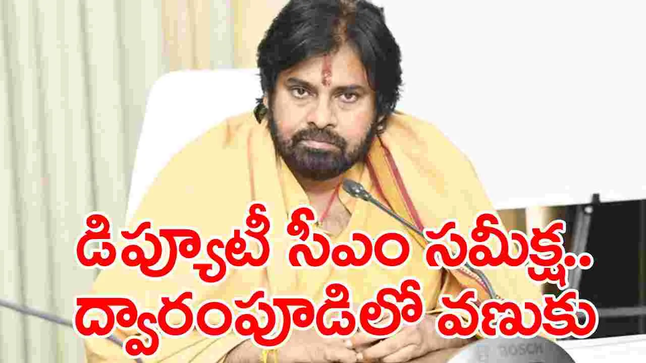 Pawan Kalyan: డిప్యూటీ సీఎం పవన్ కల్యాణ్ సమీక్షలో కీలక అంశాలు వెలుగులోకి