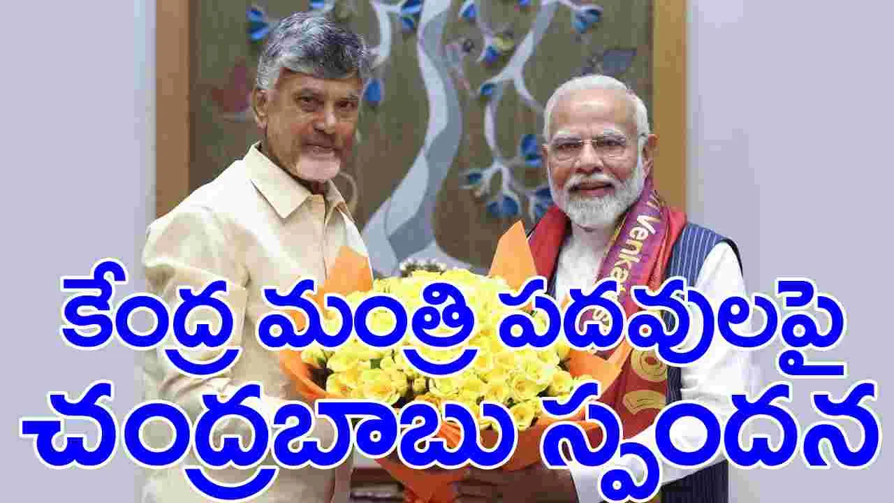 Chandrababu: కేంద్ర మంత్రి పదవులపై ఢిల్లీలో సీఎం చంద్రబాబు ఆసక్తికర వ్యాఖ్యలు