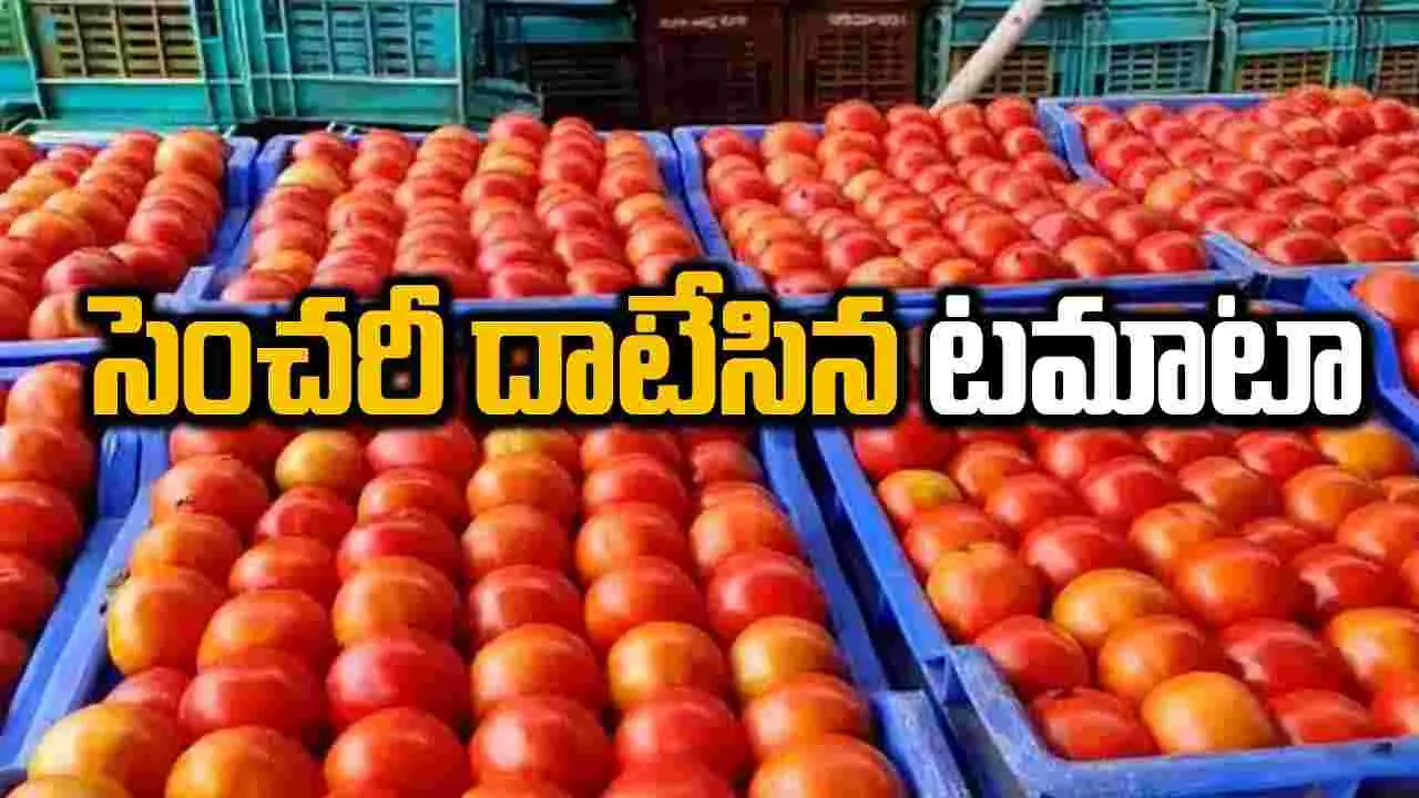 Tomato: భగ్గుమంటున్న టమాటా ధర.. కిలోకు రూ.130, ఎక్కడంటే..