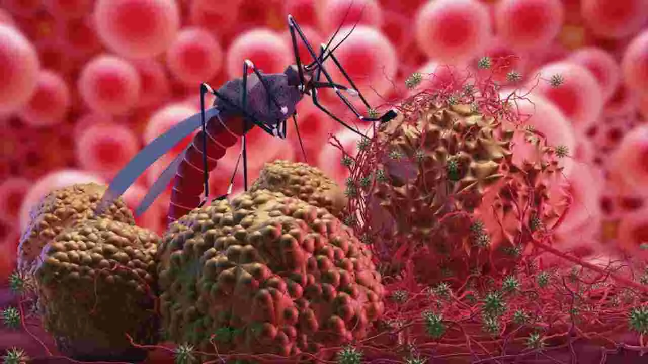 Zika Virus: రాష్ట్రాలకు బిగ్ అలర్ట్.. విస్తరిస్తున్న మరో మహమ్మారి..