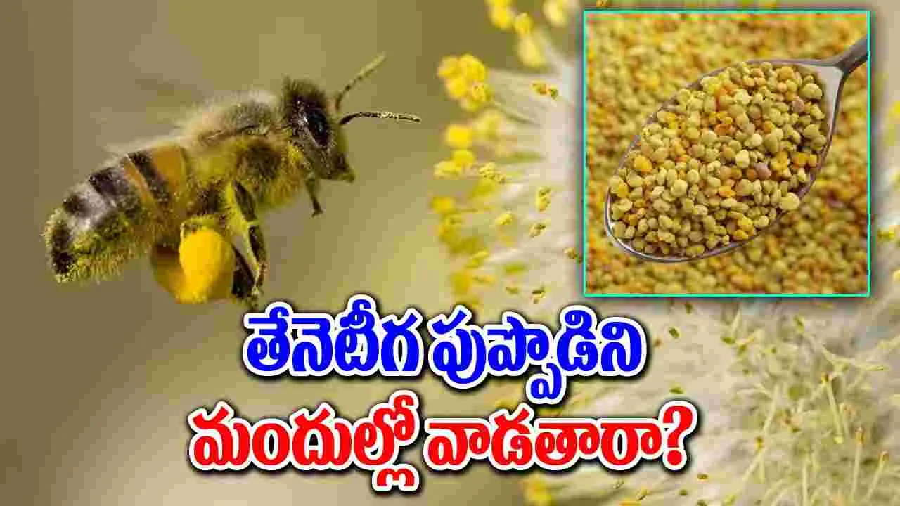 Health benefits : తేనెటీగ పుప్పొడితో కలిగే ఆరోగ్య ప్రయోజనాలు ఇవే..!