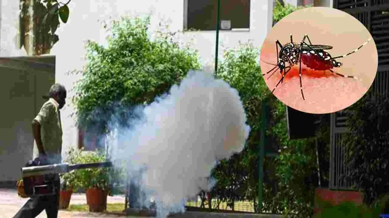 Dengue Cases: 3 వారాల్లో వెయ్యికిపైగా డెంగ్యూ కేసులు.. నగరవాసుల భయాందోళన