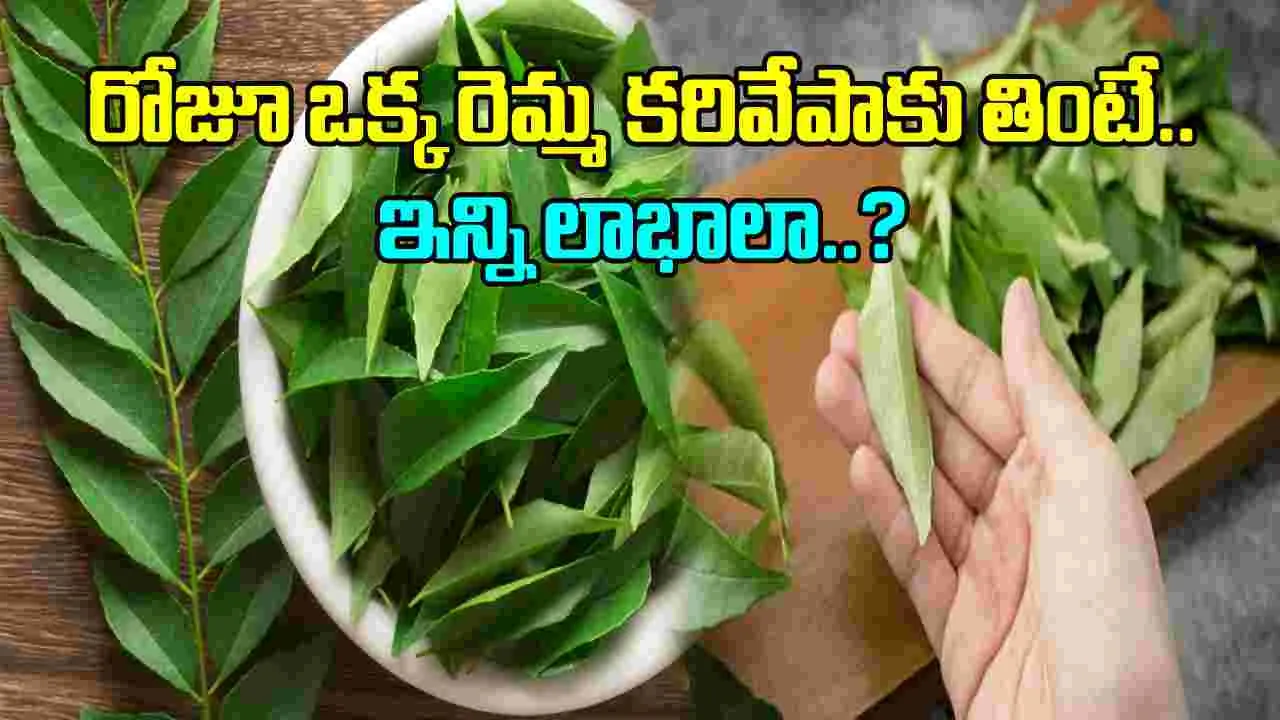 Curry Leaves: రోజూ ఉదయాన్నే ఒక రెమ్మ పచ్చి కరివేపాకులు నమిలి తింటే జరిగేది ఇదే..!