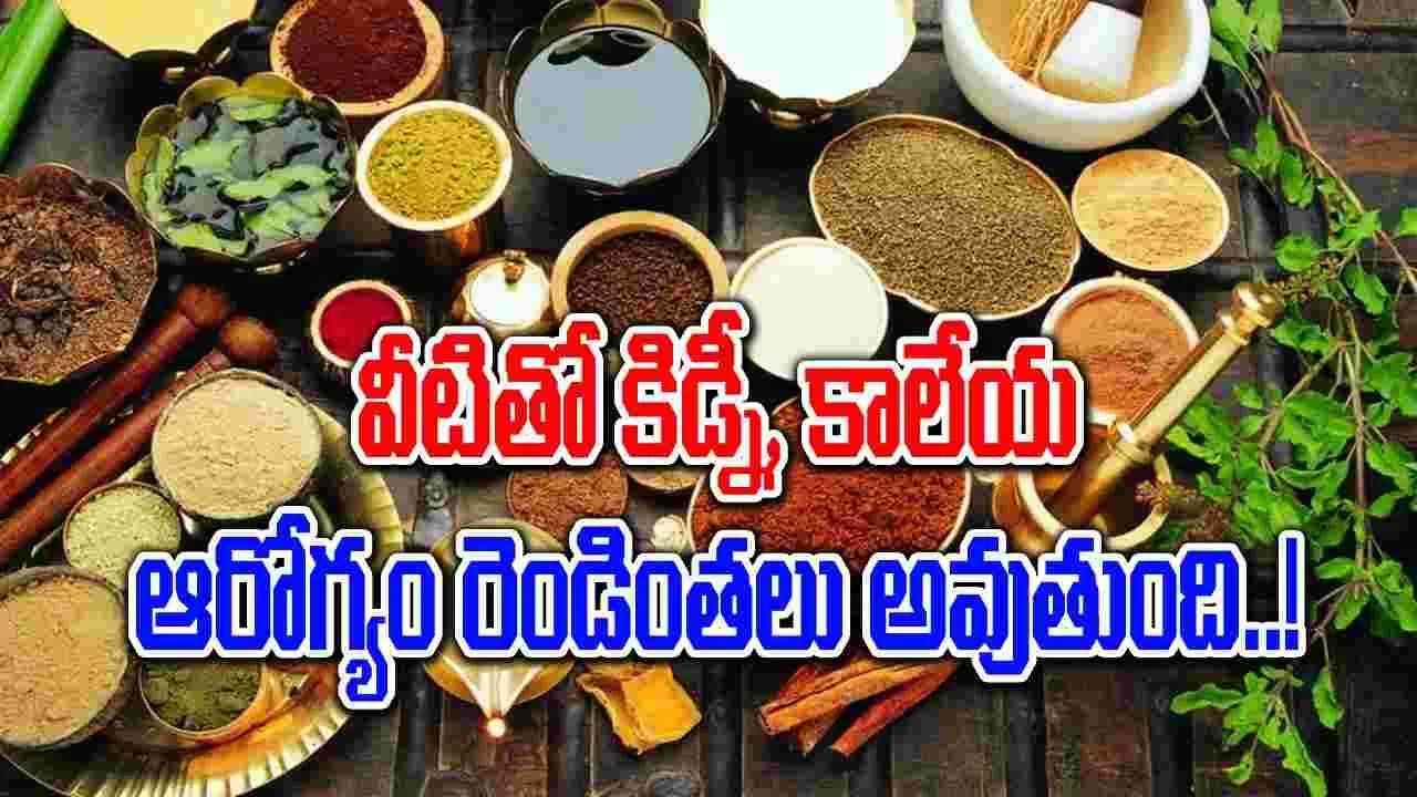 Herbs And Spices : కిడ్నీ, కాలేయాన్ని ఆరోగ్యంగా ఉంచే మూలికలు, సుగంధ ద్రవ్యాలు ఇవే..