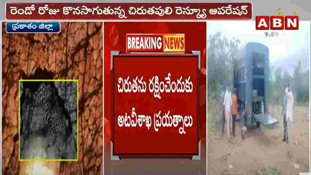 Leopard:  ప్రకాశం జిల్లాలో రెండోరోజు కొనసాగుతున్న చిరుతపులి రెస్క్యూ ఆపరేషన్