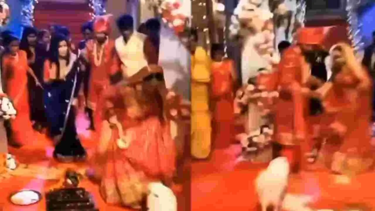 Viral Video: పెళ్లి వేదికపై వధూవరులు.. సడన్‌గా సమీపానికి వచ్చిన  కుక్క.. చివరకు.. 