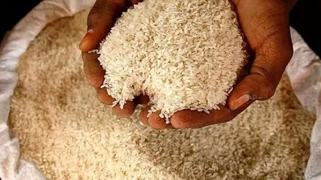 Ration Rice: బియ్యం దొంగలు దొరికారు! 