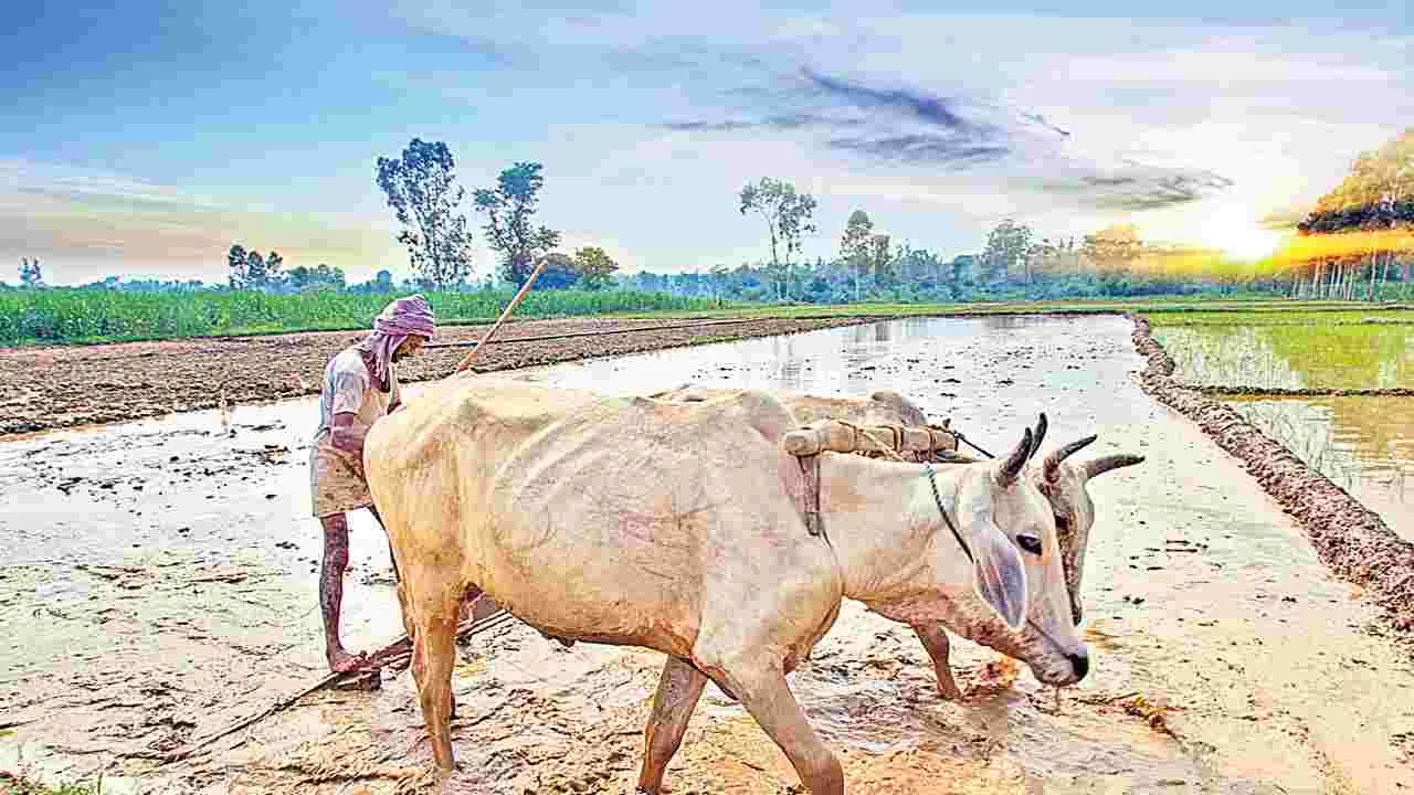 Agriculture budget: రుణమాఫీకి 26 వేల కోట్లే!