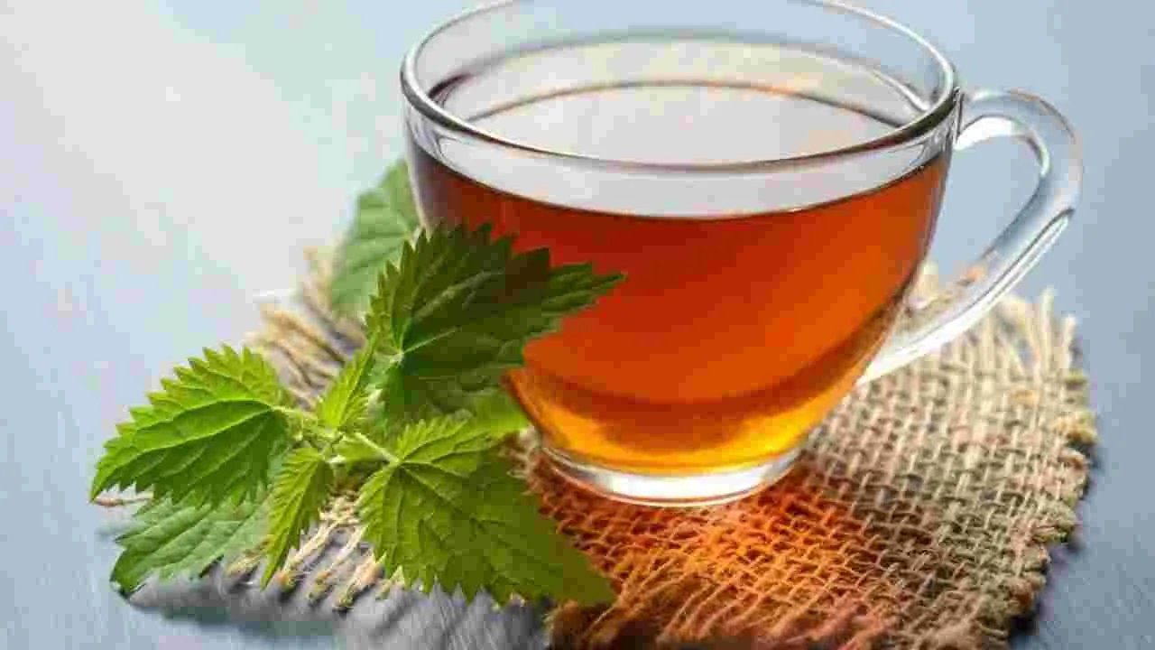 Jaggery tea vs sugar tea: చక్కెర టీ వర్సెస్ బెల్లం టీ.. ఏది బెటర్? నిపుణులు ఇచ్చిన క్లారిటీ ఇదే!