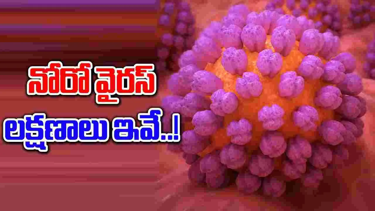 New Virus: హైదరాబాద్‌లో ఉంటున్నారా.. కొత్త వైరస్ వచ్చేసింది.. ఈ లక్షణాలుంటే వెరీ డేంజర్..!