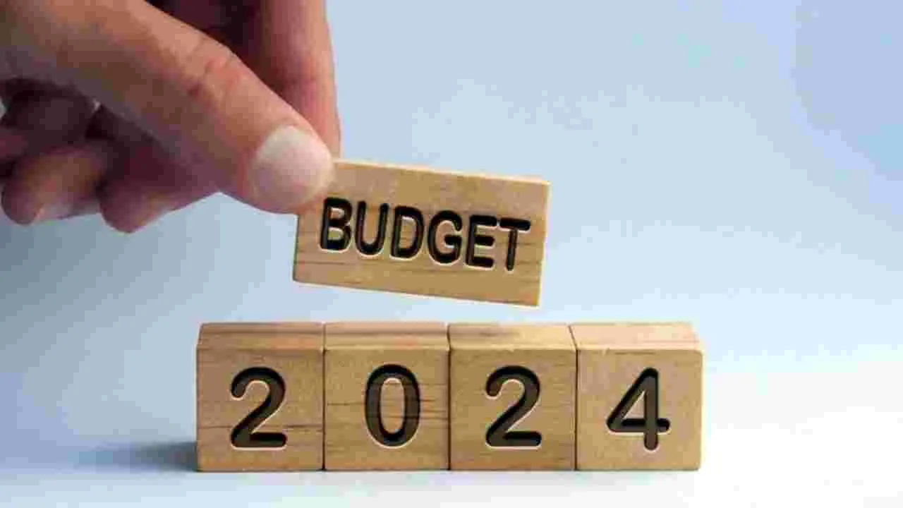 Budget Allocation: 2 లక్షల క్యాటగిరికే ఎక్కువ బడ్జెట్‌!