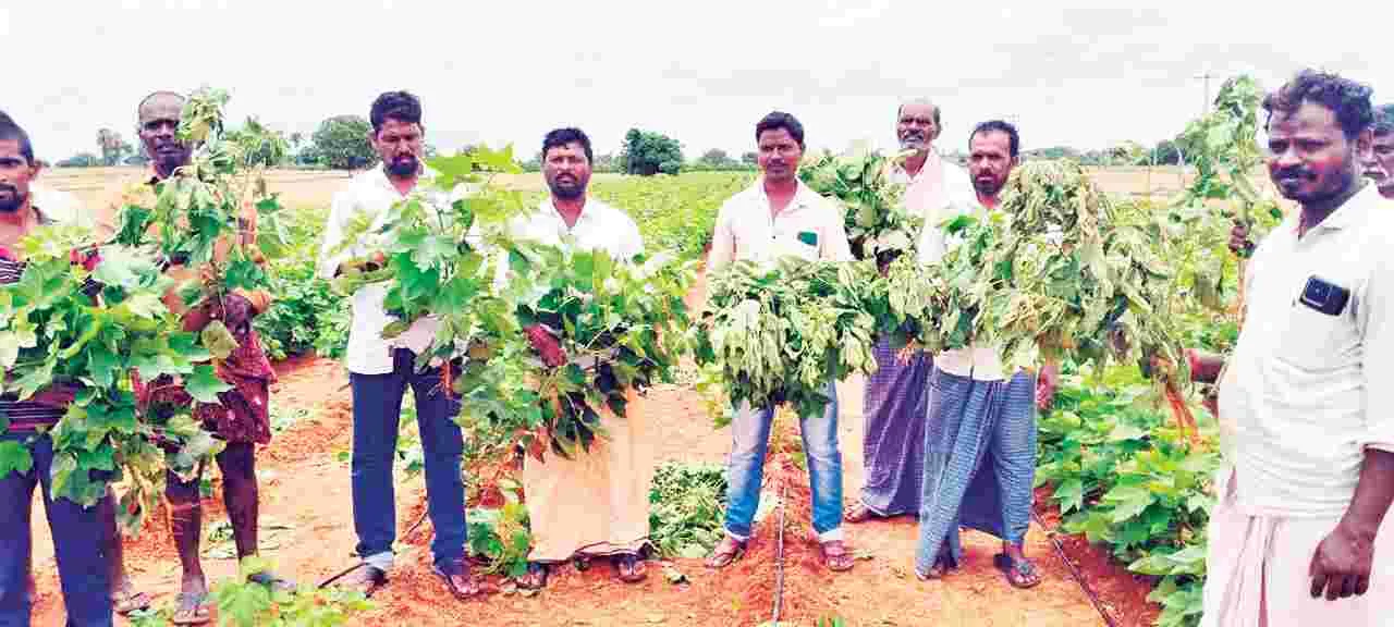   మోసపూరితం!