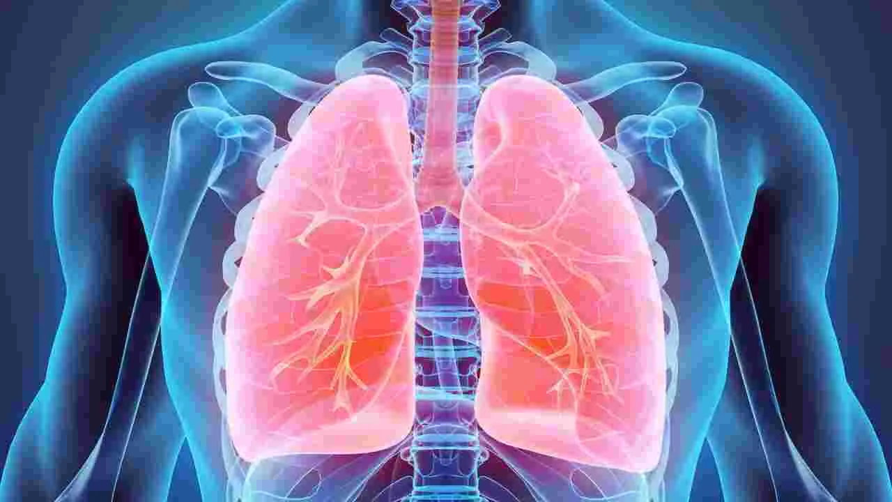 Lungs Health: ఈ 8 చిట్కాలు పాటించండి చాలు.. ఊపిరితిత్తులు బలంగా మారతాయి..!