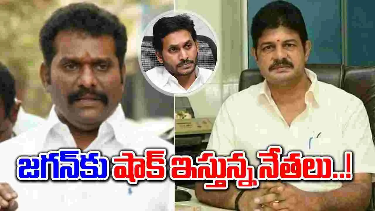 AP Politics: వైసీపీకి వరుస రాజీనామాలు.. దేనికి సంకేతం..?