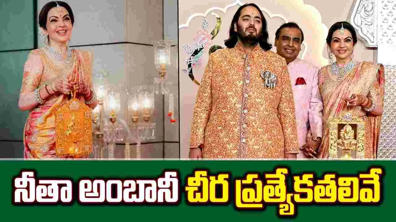 Nita Ambani: నీతా అంబానీ ధరించిన చీర ఇంత స్పెషలా?