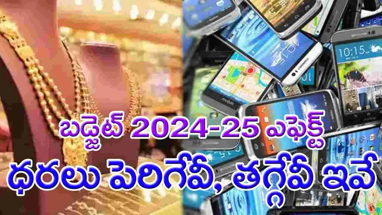 Union Budget 2024-25: బడ్జెట్‌ ప్రభావంతో ధరలు పెరిగే, తగ్గే వస్తువులు ఇవే!