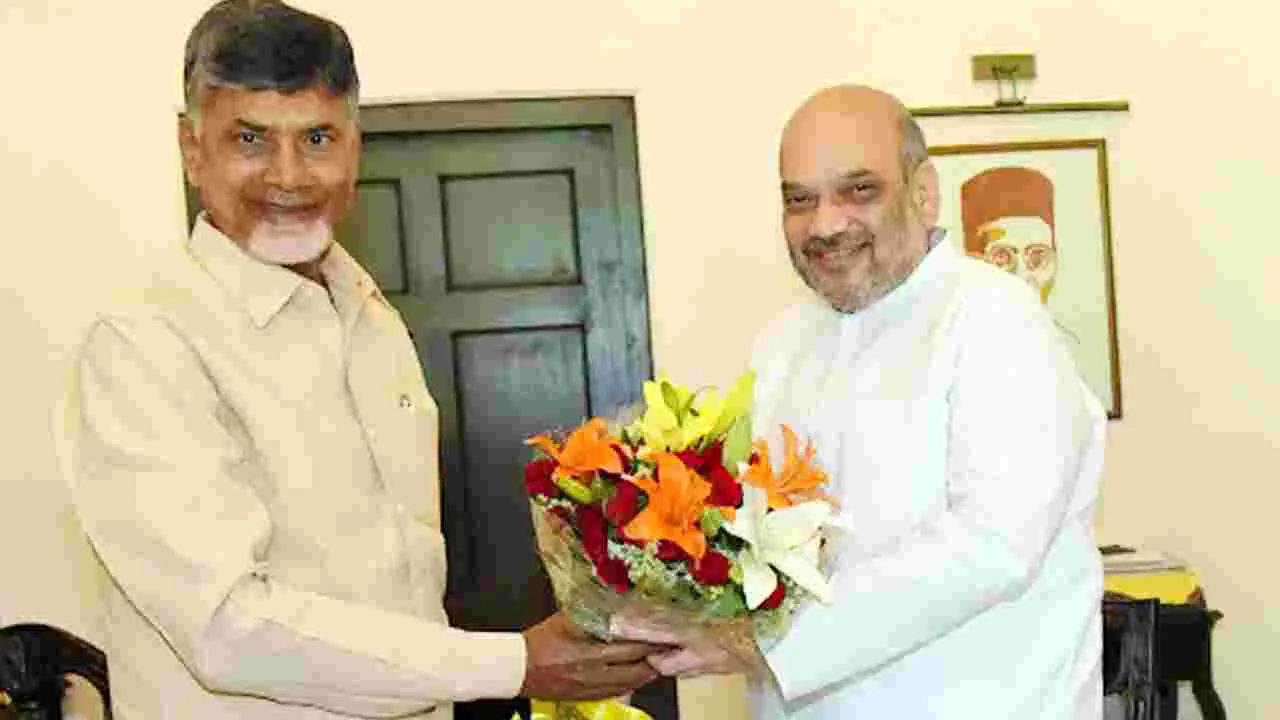 CM  Chandrababu: ఢిల్లీ చేరుకున్న  చంద్రబాబు.. అమిత్ షాతో భేటీ