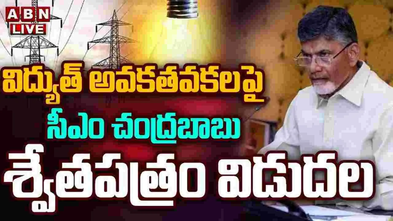 CM Chandrababu: విద్యుత్‌పై శ్వేతపత్రం విడుదల చేసిన సీఎం చంద్రబాబు.. అసలు లెక్కలు ఇవే