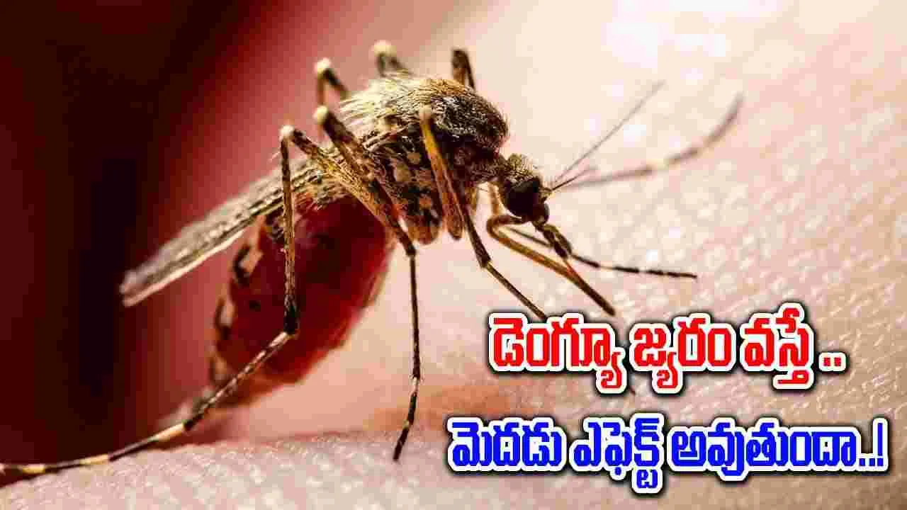 Dengue fever : డెంగ్యూ జ్వరం కారణంగా మెదడు మీద కూడా ప్రభావం ఉంటుందా..!