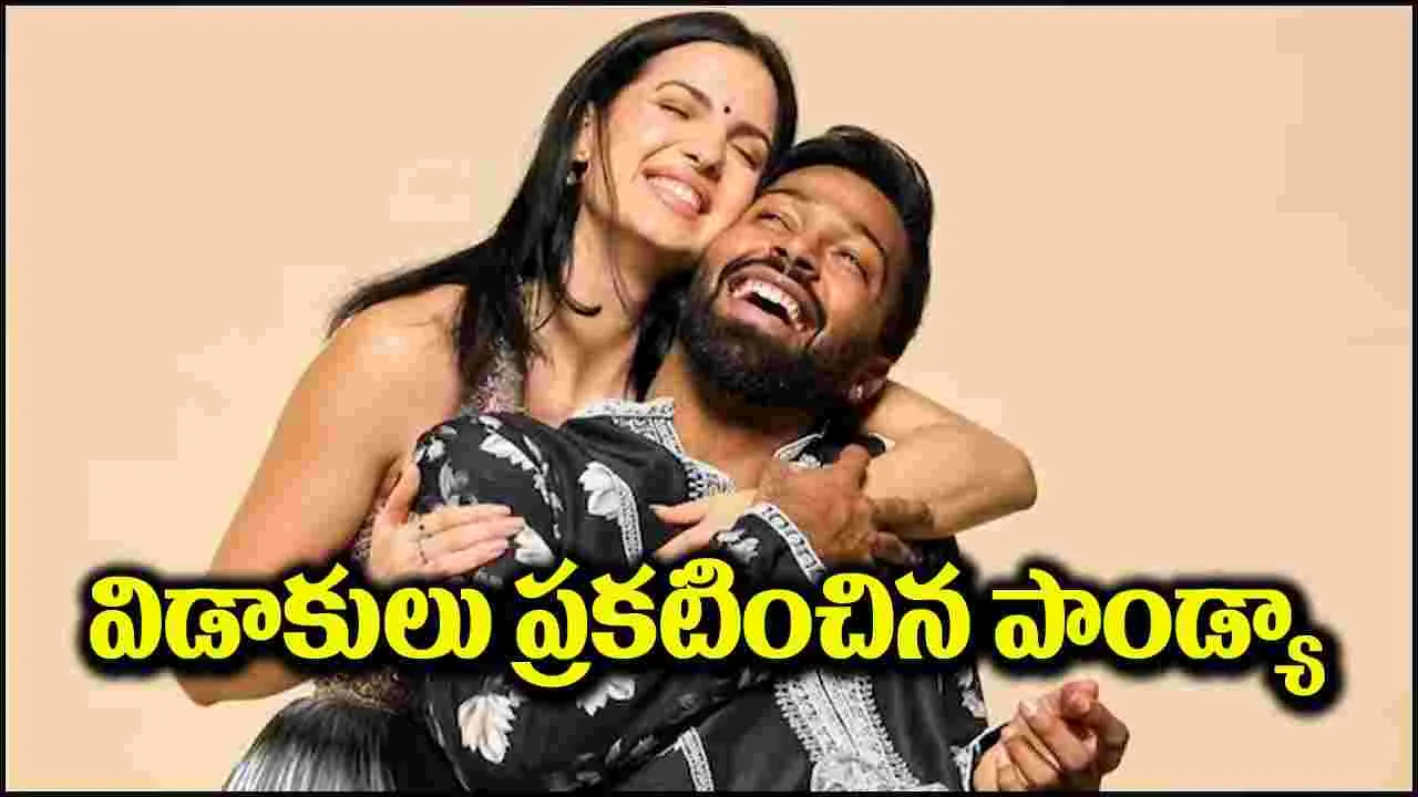 Hardik Pandya: అఫీషియల్.. ఇన్‌స్టాగ్రామ్ ద్వారా విడాకులు ప్రకటించిన హార్దిక్ పాండ్యా