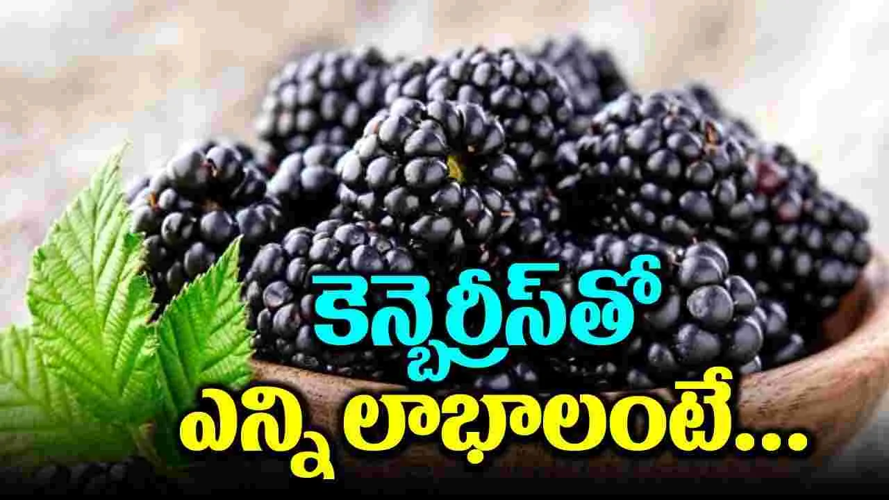 Super Food : రోజూ ఆహారంలో బెర్రీస్ తీసుకోవడం వల్ల ఇన్ని లాభాలా..!