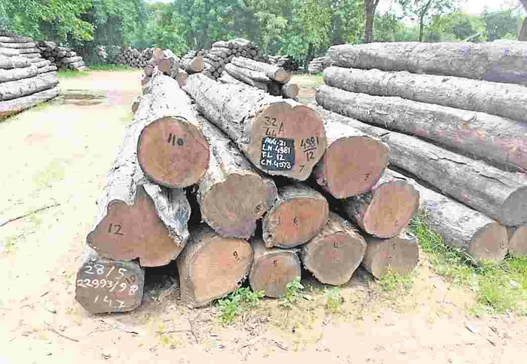 FOREST DEPARTMENT: ముడుపులా..  జరిమానానా?