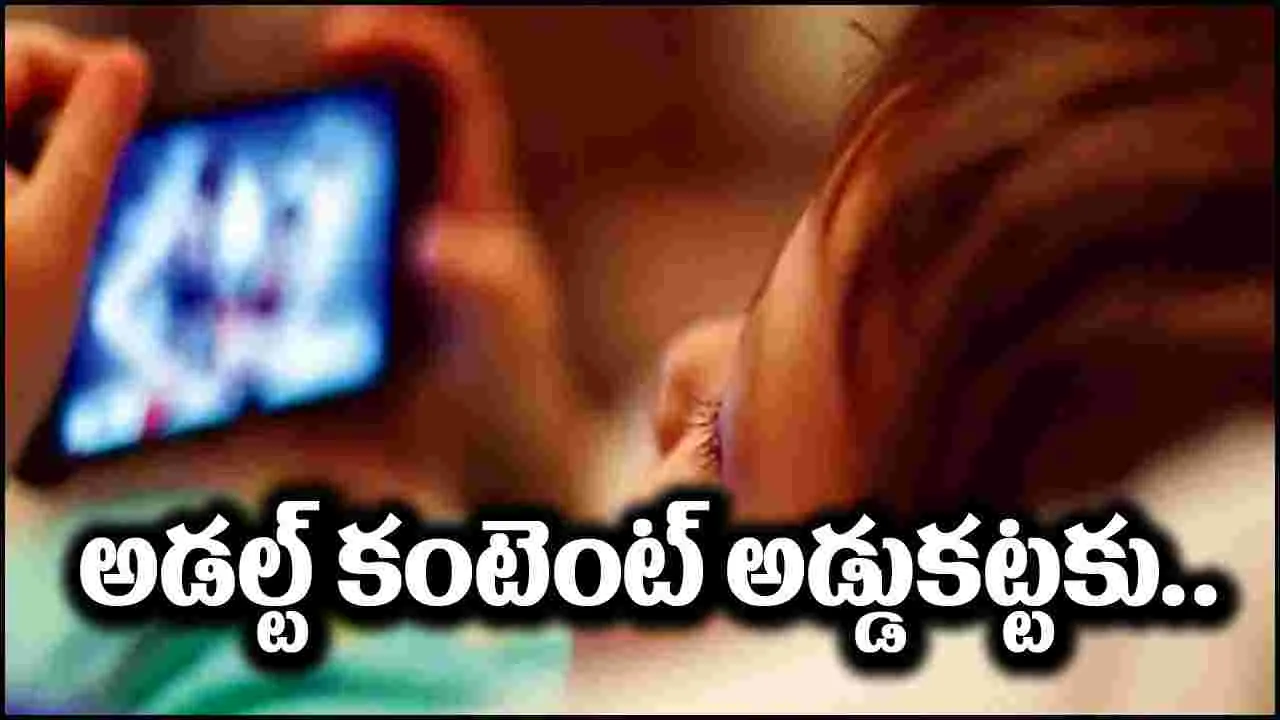 Adult Content: అశ్లీల వీడియోలు చూస్తున్నారా.. ఇకపై ఈ పని చేయాల్సిందే!