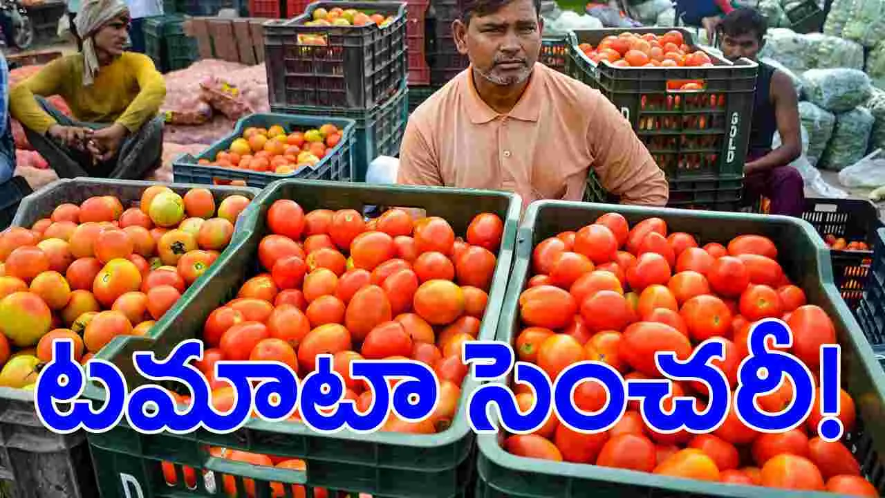 Tomato prices: ఠారెత్తిస్తున్న టమాటా!