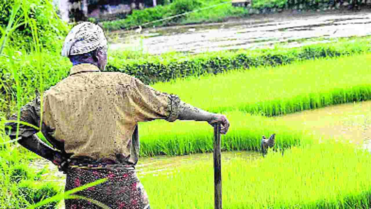 రేపు ‘రైతు భరోసా’ అభిప్రాయ సేకరణ వర్క్‌షాపు 