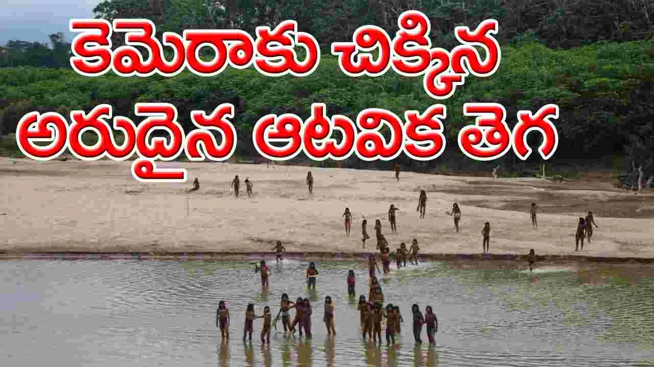 Mashco Piro: కెమెరాకు చిక్కిన ‘మాష్కో పిరో’ ఆటవిక తెగ ప్రజలు.. అరుదైన ఫొటో, వీడియోలు ఇవిగో