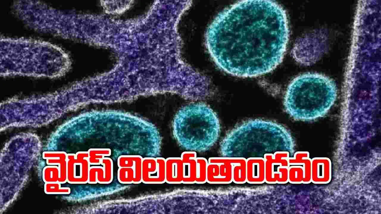 Chandipura Virus: పెరుగుతున్న చండీపురా వైరస్ కేసులు.. ఇప్పటికే 16 మంది మృతి