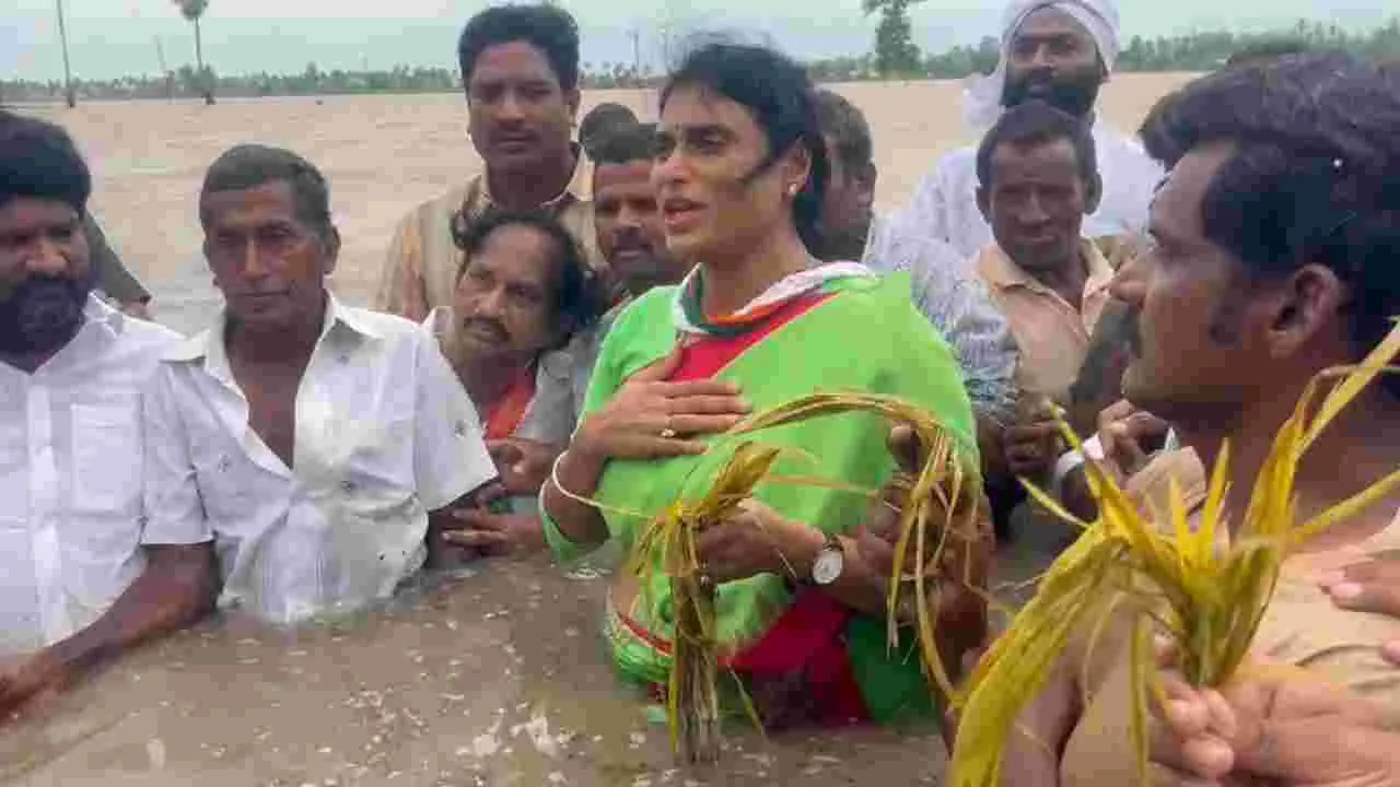 AP Floods: రైతుల కోసం పీసీసీ చీఫ్ వైఎస్ షర్మిల వినూత్న నిరసన