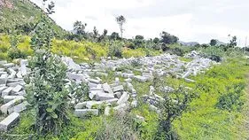	  ప్రజాధనం వృథా