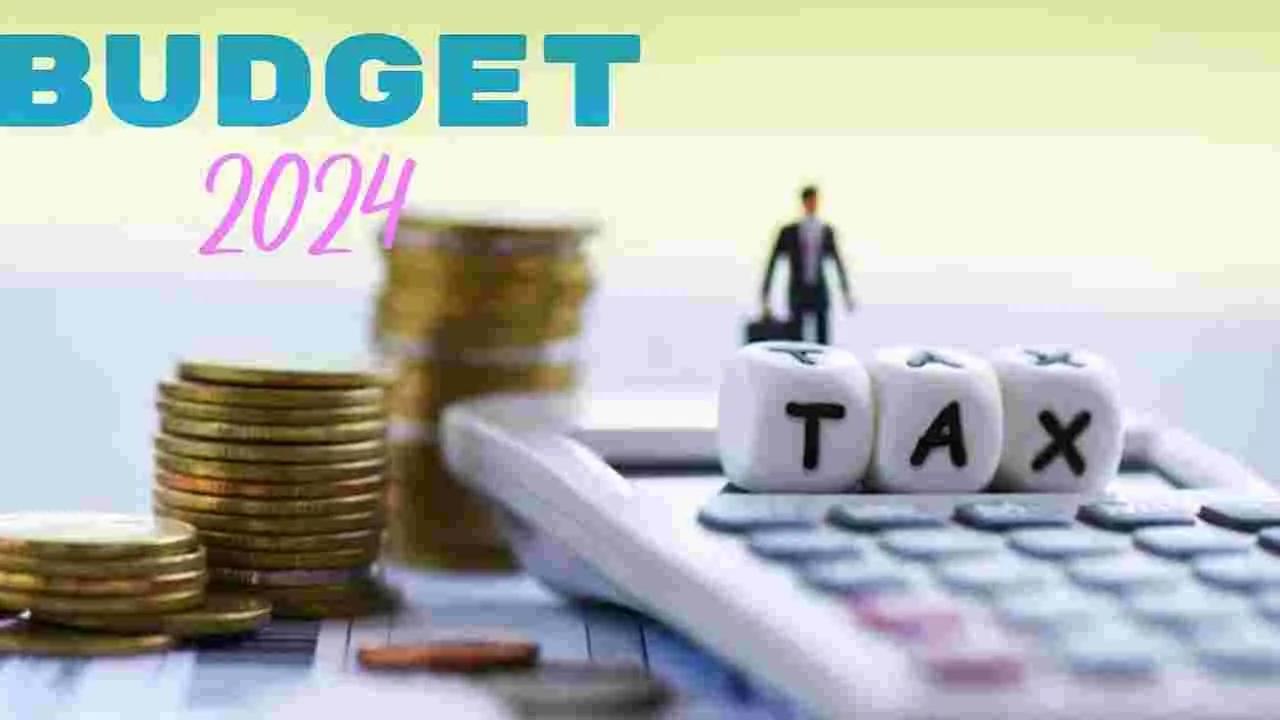 Budget 2024: బడ్జెట్ 2024లో పెట్టుబడిదారుల స్టార్టప్‌లపై ఏంజెల్ పన్ను రద్దు