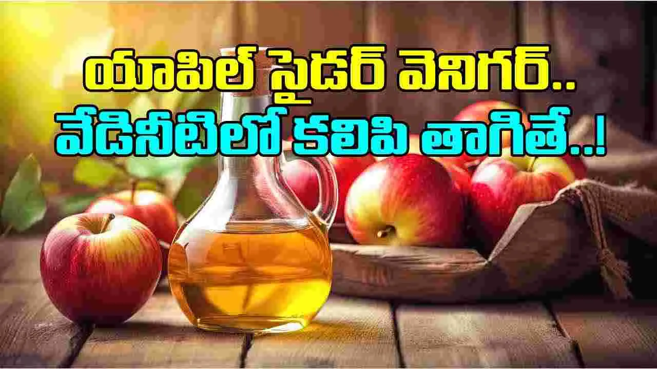 Apple Cider Vinegar: గోరువెచ్చని నీటిలో యాపిల్ సైడర్ వెనిగర్ కలిపి తాగితే ఇన్ని లాభాలా?