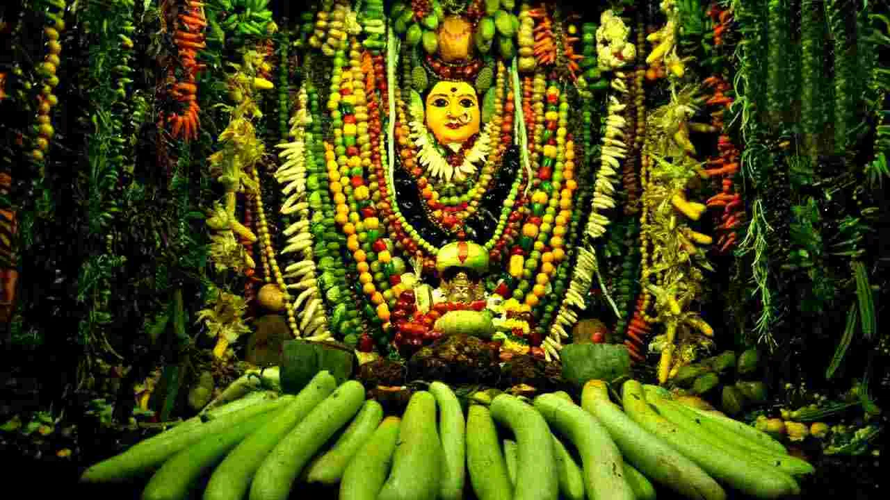 Warangal: భద్రకాళీ అమ్మవారి  శాకంబరీ ఉత్సవాలు