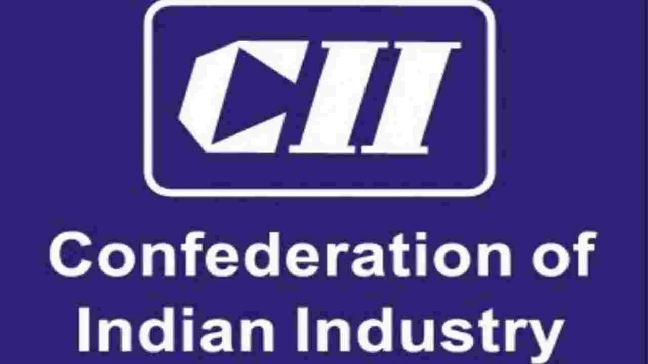 CII: ఈ బడ్జెట్  చాలా ఉపయోగకరంగా ఉంది: సీఐఐ ఛైర్మన్ మురళి
