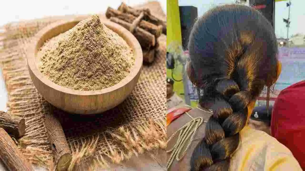 hair Growth: జుట్టు మందంగా పెరగడానికి ఆయుర్వేదం చెప్పిన రహస్యం.. ఈ ఒక్క పొడి వాడి చూడండి..!