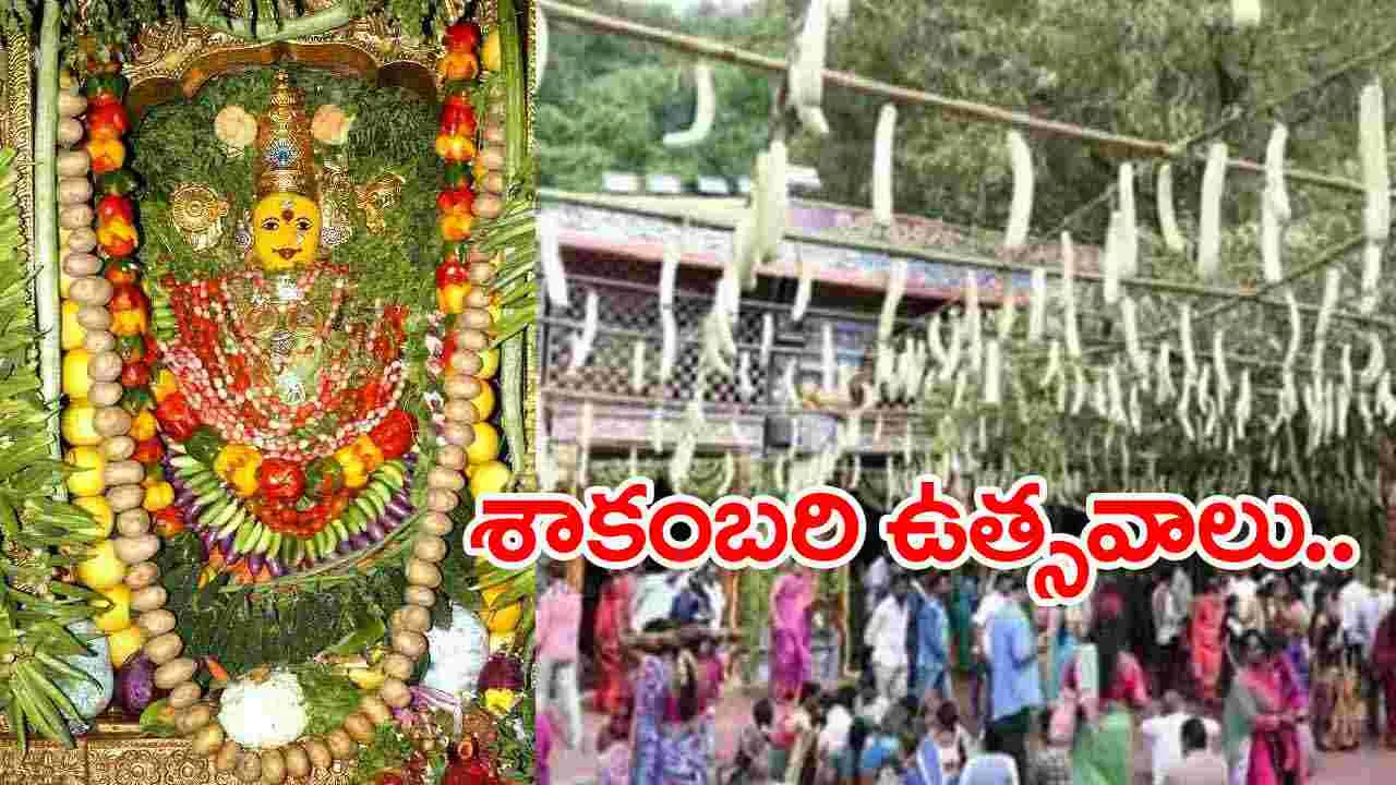 Vijayawada: ఇంద్రకీలాద్రిలో శాకంబరీ ఉత్సవాలు...